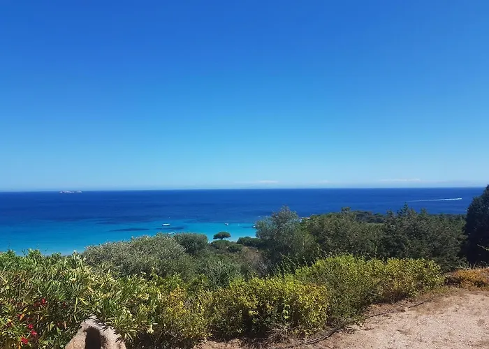 Maison Sur Palombaggia